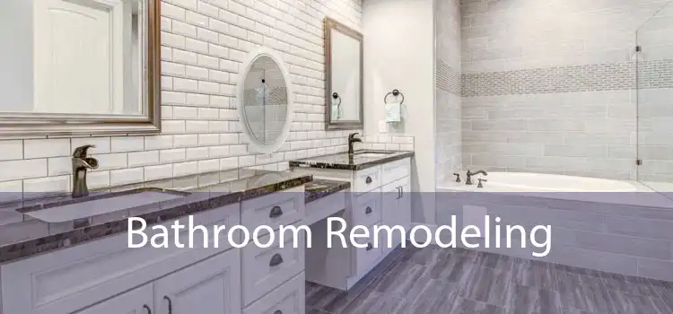 Bathroom Remodeling 