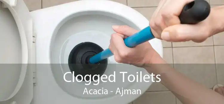 Clogged Toilets Acacia - Ajman