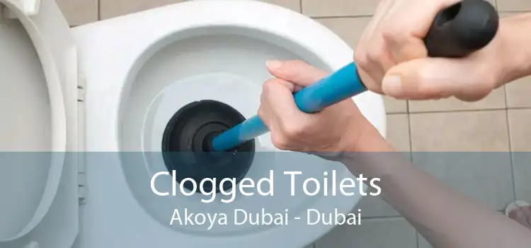 Clogged Toilets Akoya Dubai - Dubai