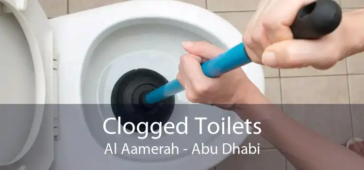 Clogged Toilets Al Aamerah - Abu Dhabi