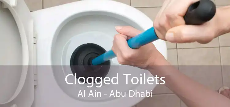 Clogged Toilets Al Ain - Abu Dhabi