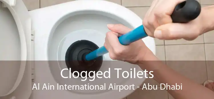 Clogged Toilets Al Ain International Airport - Abu Dhabi