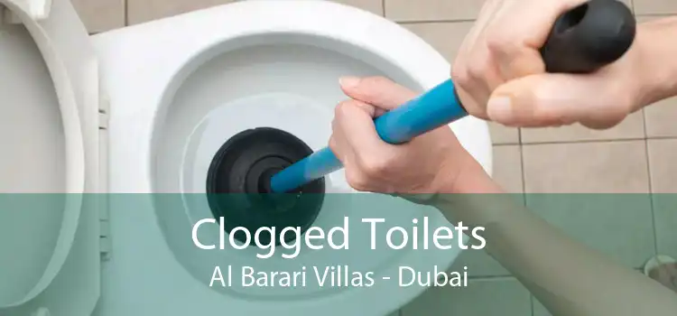 Clogged Toilets Al Barari Villas - Dubai