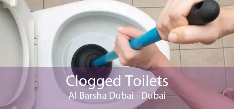 Clogged Toilets Al Barsha Dubai - Dubai