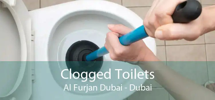 Clogged Toilets Al Furjan Dubai - Dubai