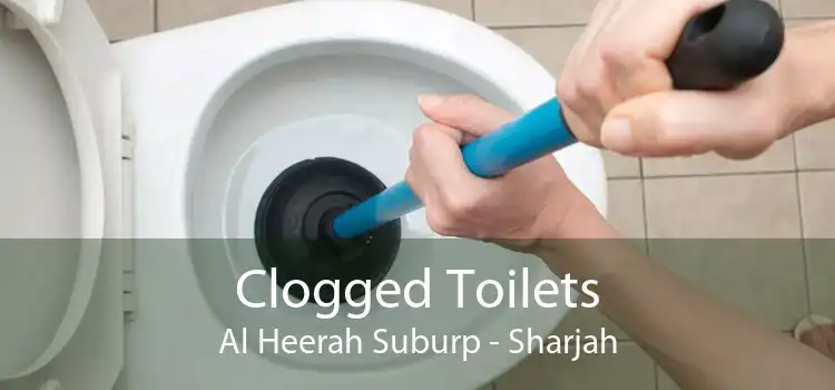 Clogged Toilets Al Heerah Suburp - Sharjah