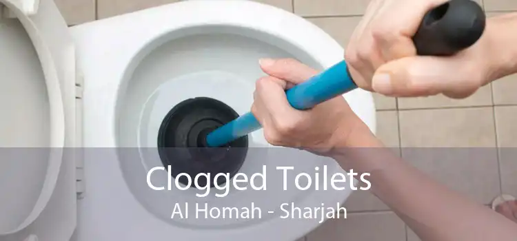 Clogged Toilets Al Homah - Sharjah