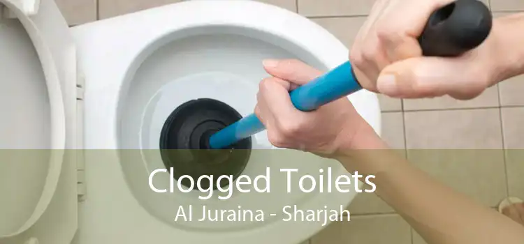 Clogged Toilets Al Juraina - Sharjah