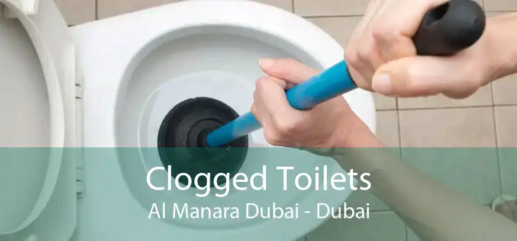 Clogged Toilets Al Manara Dubai - Dubai