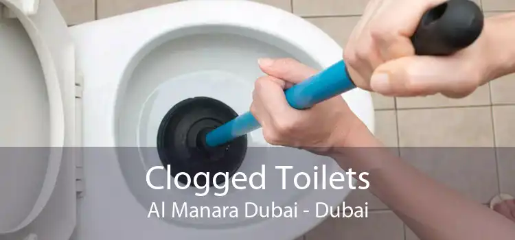 Clogged Toilets Al Manara Dubai - Dubai