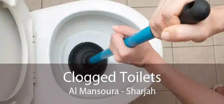 Clogged Toilets Al Mansoura - Sharjah