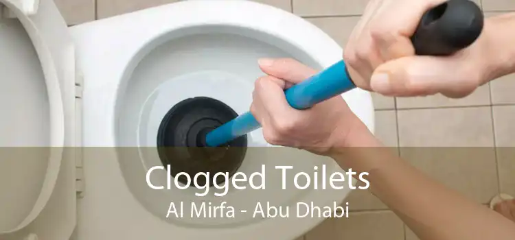 Clogged Toilets Al Mirfa - Abu Dhabi