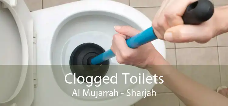 Clogged Toilets Al Mujarrah - Sharjah