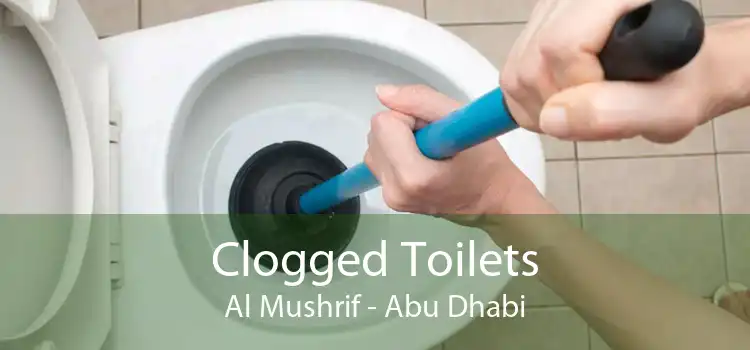 Clogged Toilets Al Mushrif - Abu Dhabi