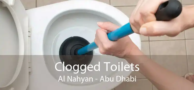 Clogged Toilets Al Nahyan - Abu Dhabi