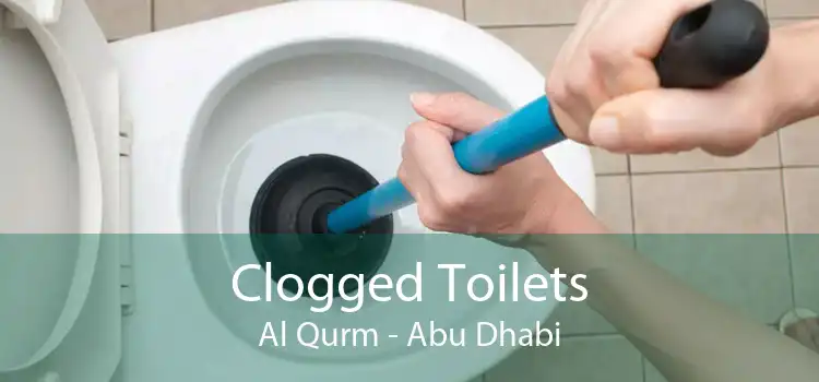 Clogged Toilets Al Qurm - Abu Dhabi