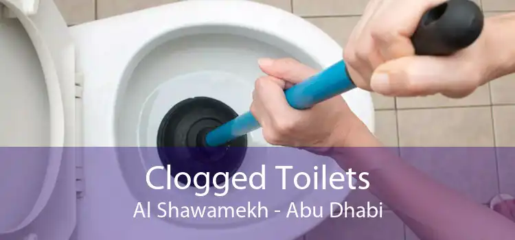 Clogged Toilets Al Shawamekh - Abu Dhabi