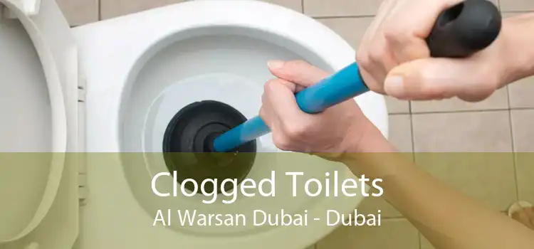 Clogged Toilets Al Warsan Dubai - Dubai