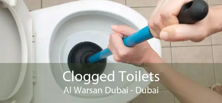 Clogged Toilets Al Warsan Dubai - Dubai