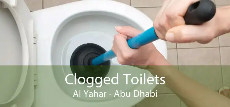 Clogged Toilets Al Yahar - Abu Dhabi