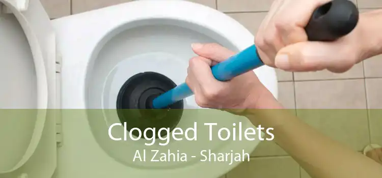 Clogged Toilets Al Zahia - Sharjah