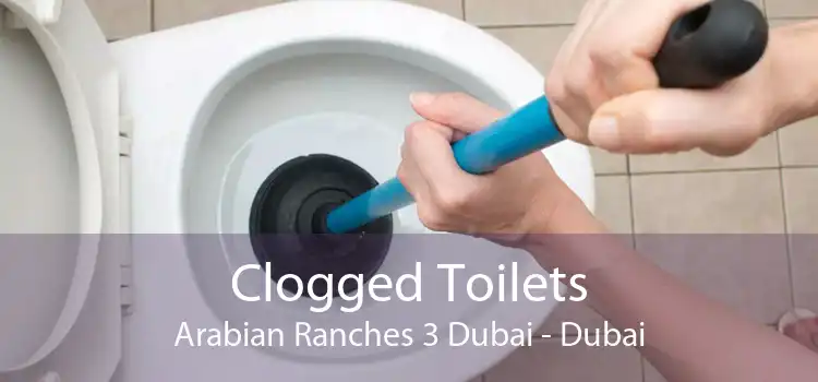 Clogged Toilets Arabian Ranches 3 Dubai - Dubai