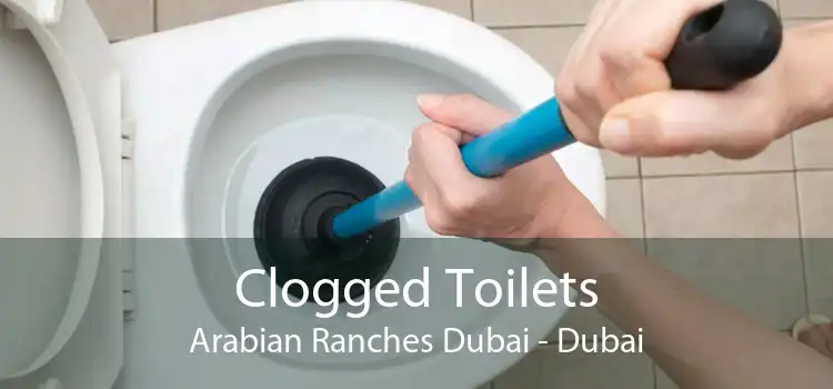 Clogged Toilets Arabian Ranches Dubai - Dubai