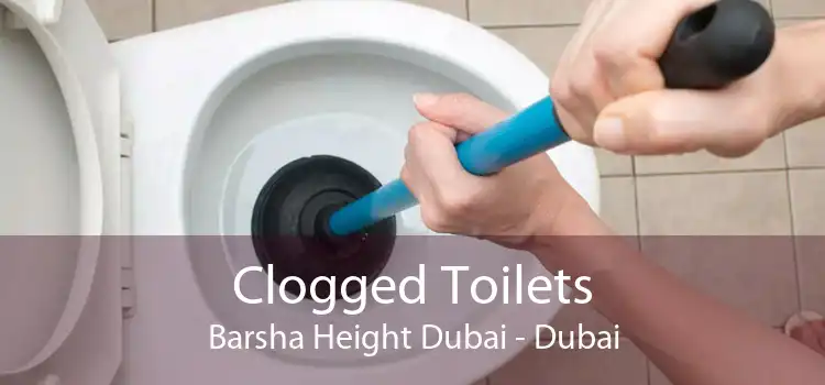 Clogged Toilets Barsha Height Dubai - Dubai