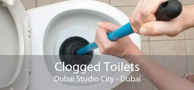 Clogged Toilets Dubai Studio City - Dubai