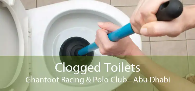 Clogged Toilets Ghantoot Racing & Polo Club - Abu Dhabi