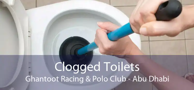 Clogged Toilets Ghantoot Racing & Polo Club - Abu Dhabi