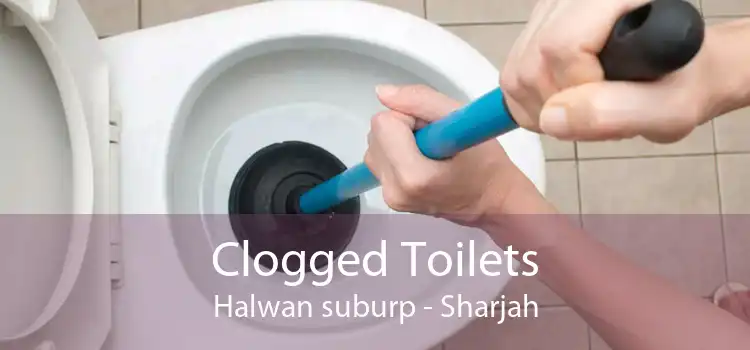 Clogged Toilets Halwan suburp - Sharjah