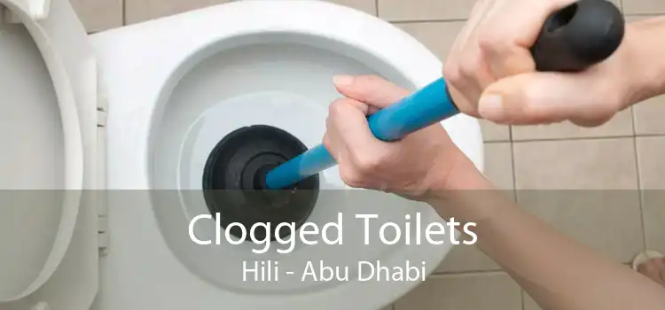 Clogged Toilets Hili - Abu Dhabi