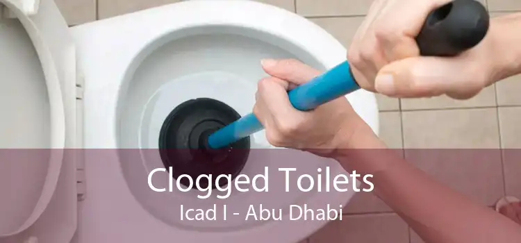 Clogged Toilets Icad I - Abu Dhabi