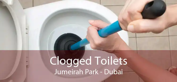 Clogged Toilets Jumeirah Park - Dubai