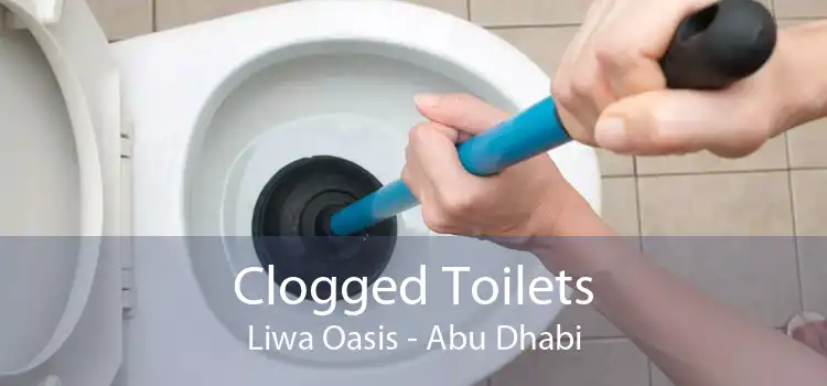Clogged Toilets Liwa Oasis - Abu Dhabi
