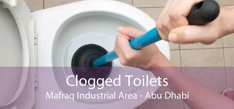 Clogged Toilets Mafraq Industrial Area - Abu Dhabi