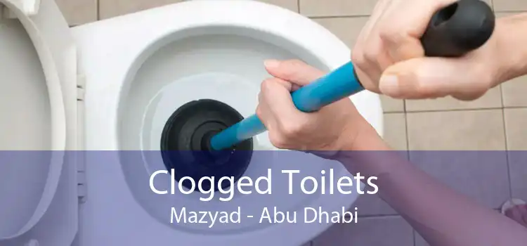 Clogged Toilets Mazyad - Abu Dhabi