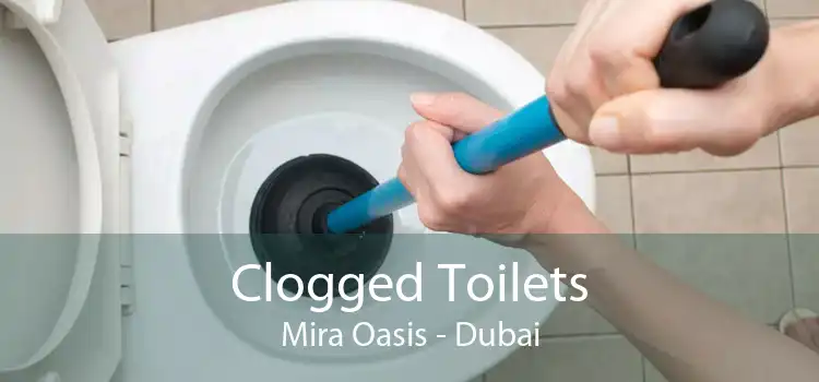Clogged Toilets Mira Oasis - Dubai