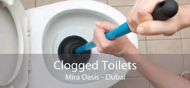 Clogged Toilets Mira Oasis - Dubai