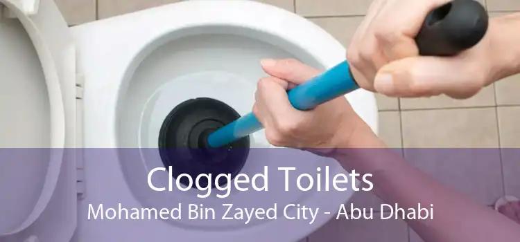 Clogged Toilets Mohamed Bin Zayed City - Abu Dhabi