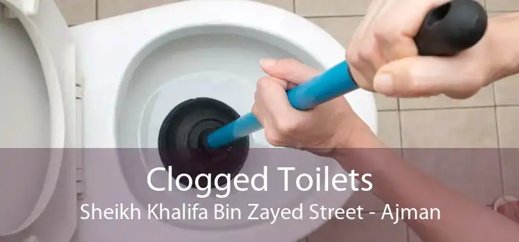Clogged Toilets Sheikh Khalifa Bin Zayed Street - Ajman