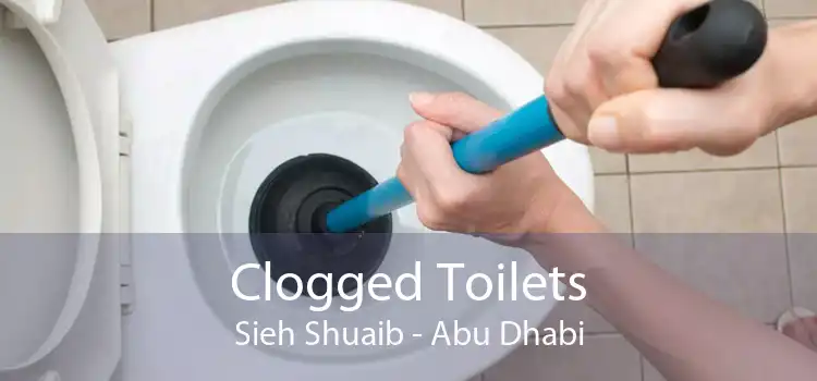 Clogged Toilets Sieh Shuaib - Abu Dhabi