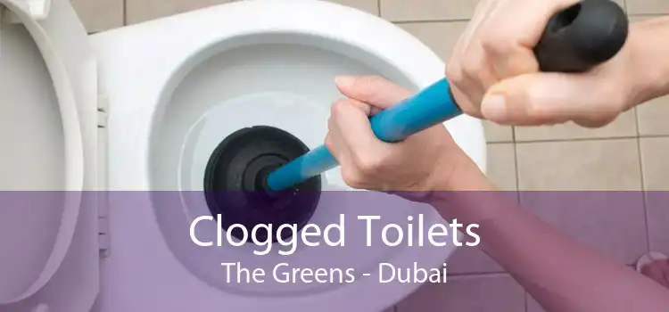 Clogged Toilets The Greens - Dubai