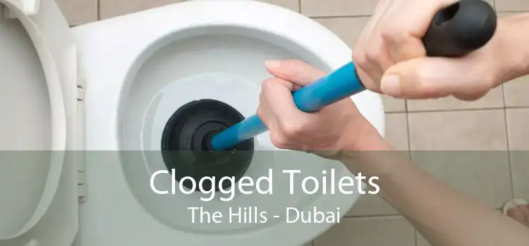 Clogged Toilets The Hills - Dubai