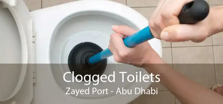 Clogged Toilets Zayed Port - Abu Dhabi