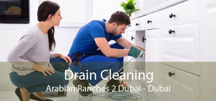 Drain Cleaning Arabian Ranches 2 Dubai - Dubai