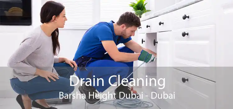 Drain Cleaning Barsha Height Dubai - Dubai