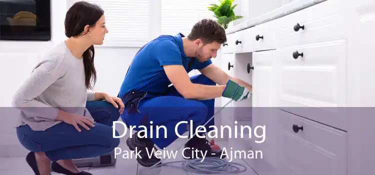 Drain Cleaning Park Veiw City - Ajman