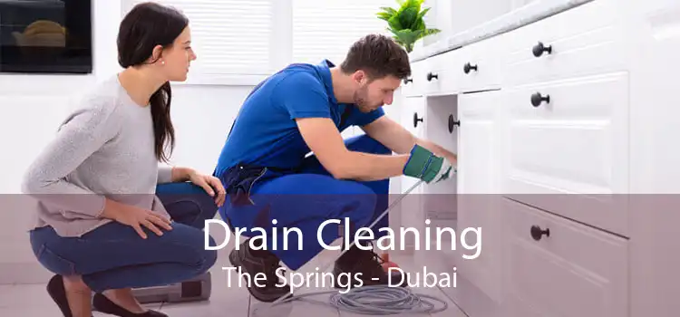 Drain Cleaning The Springs - Dubai